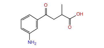 4-(3-Aminophenyl)-2-methyl-4-oxobutanoic acid